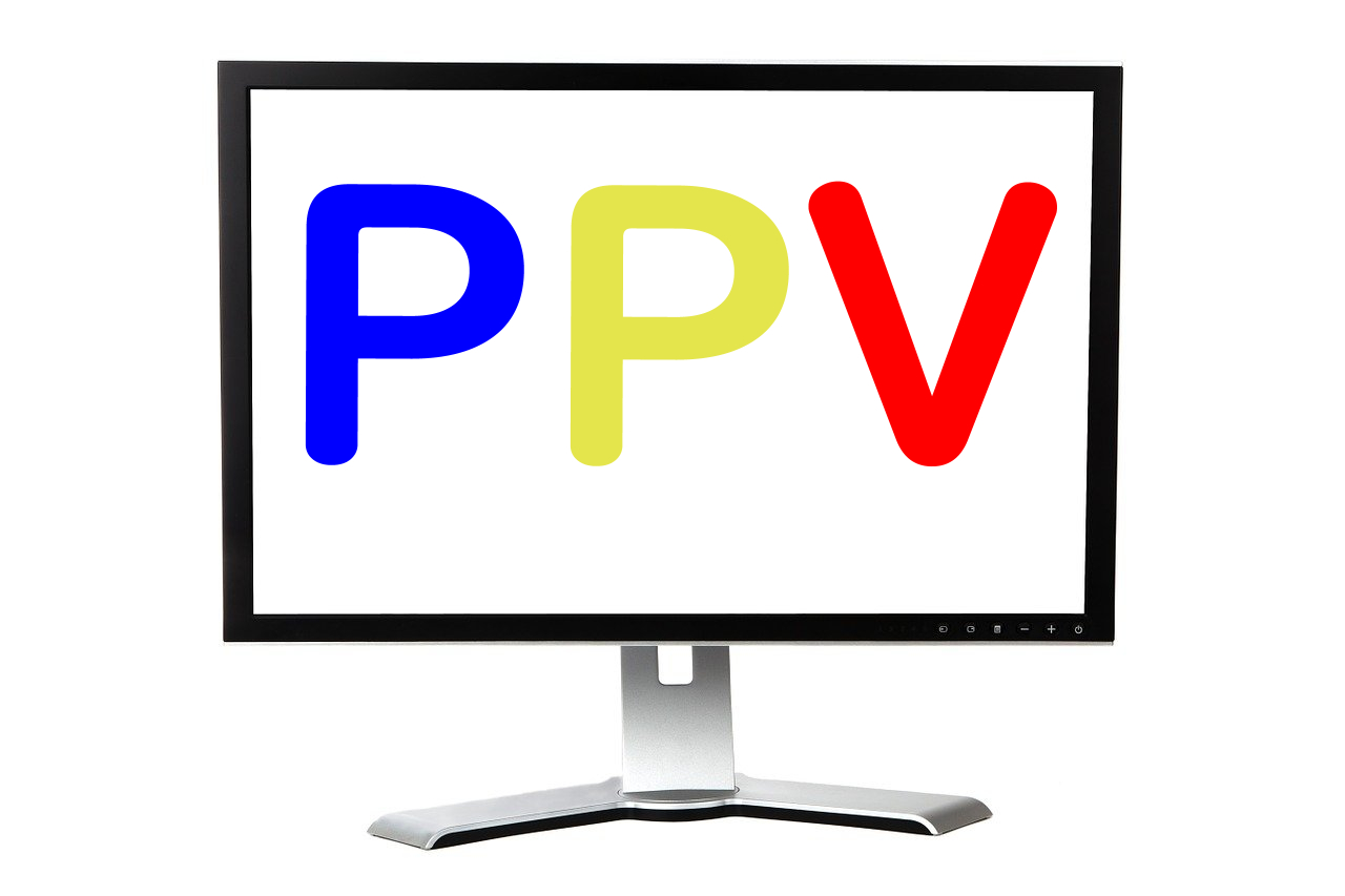 PPV(単品購入)動画とは？